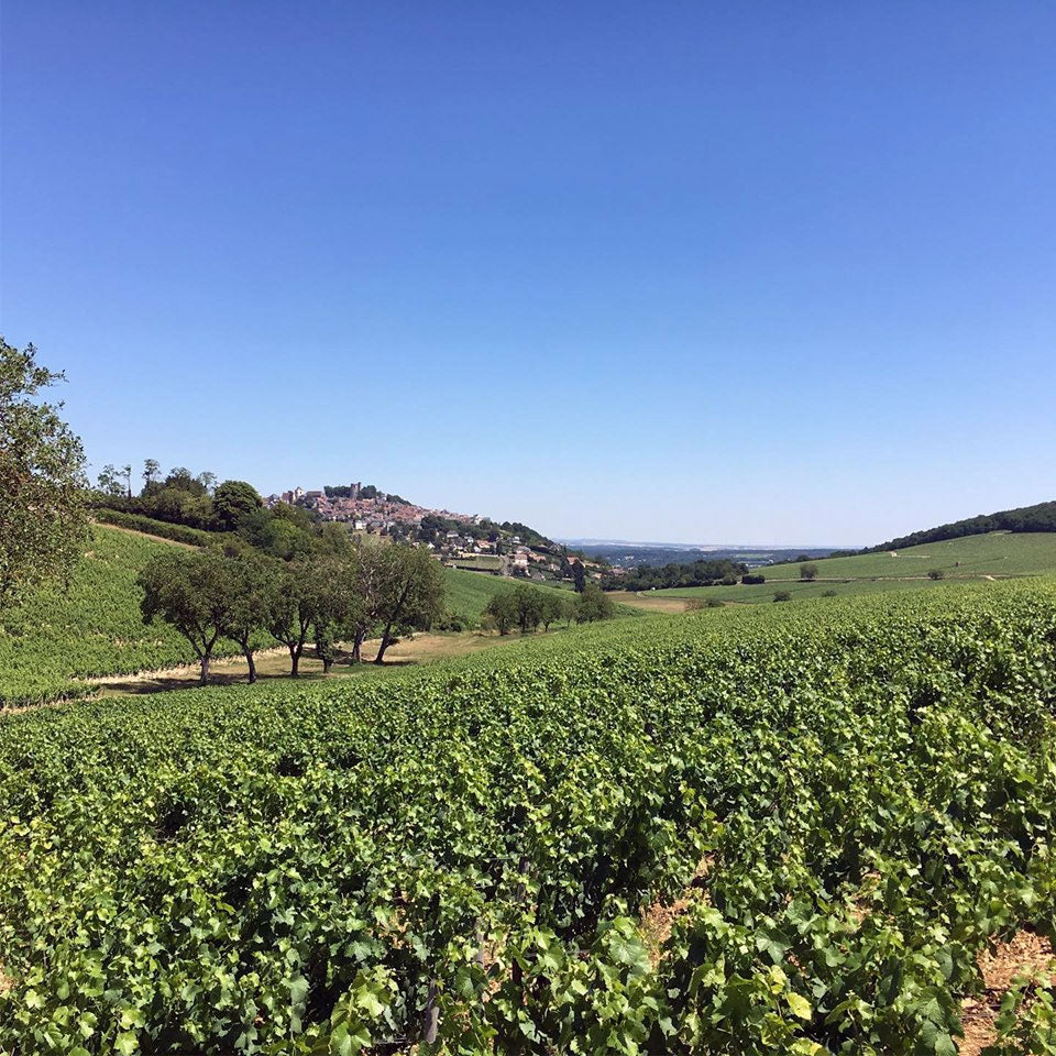 Domaine Fouassier