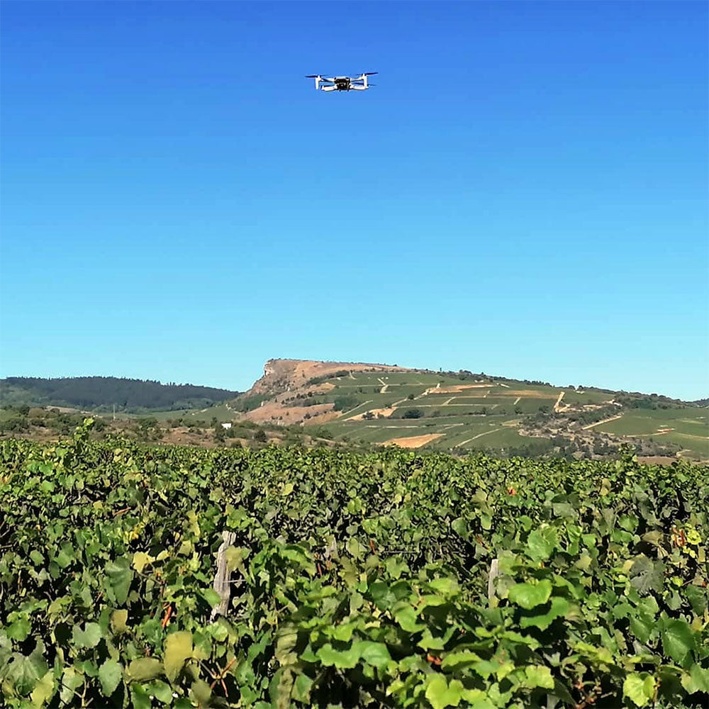 Domaine Gaillard