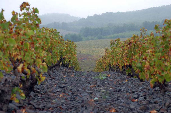Domaine Gardiés