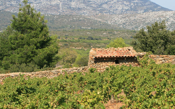 Domaine Gardiés