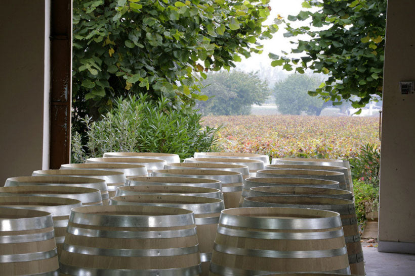 Domaine Georges Mugneret-Gibourg