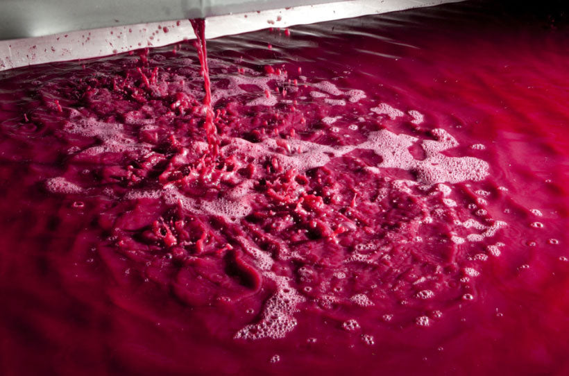 Domaine Georges Mugneret-Gibourg