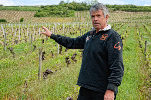 Domaine Gerard Boulay