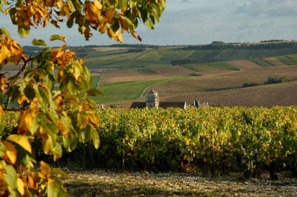 Domaine Guilhem et Jean-Hugues