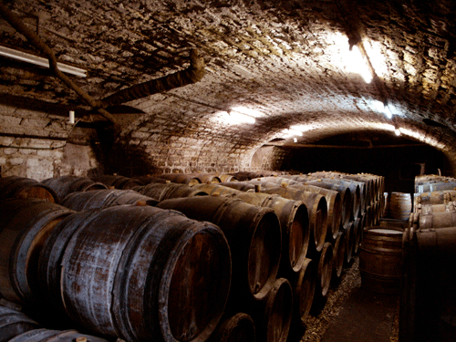 Domaine Guy Robin