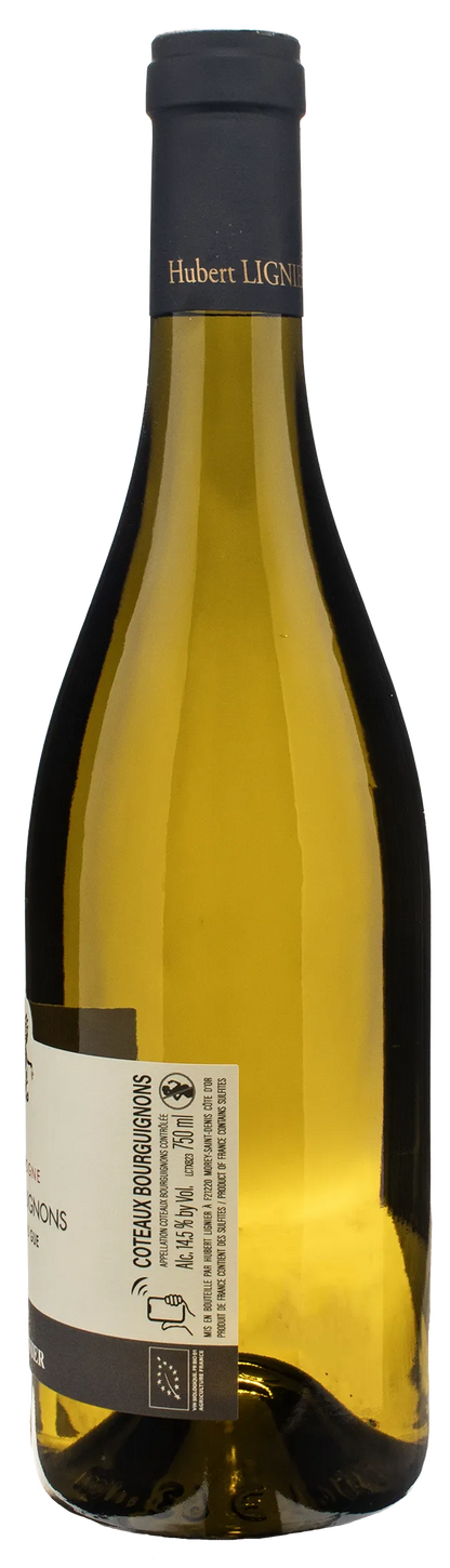 Domaine Hubert Lignier Coteaux Bourguignons Chardonnay 2023