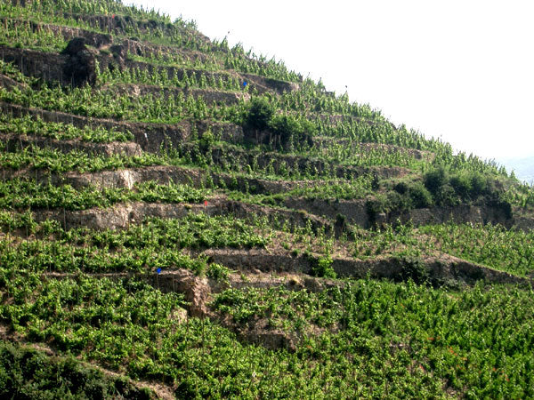 Domaine J-M Stephan