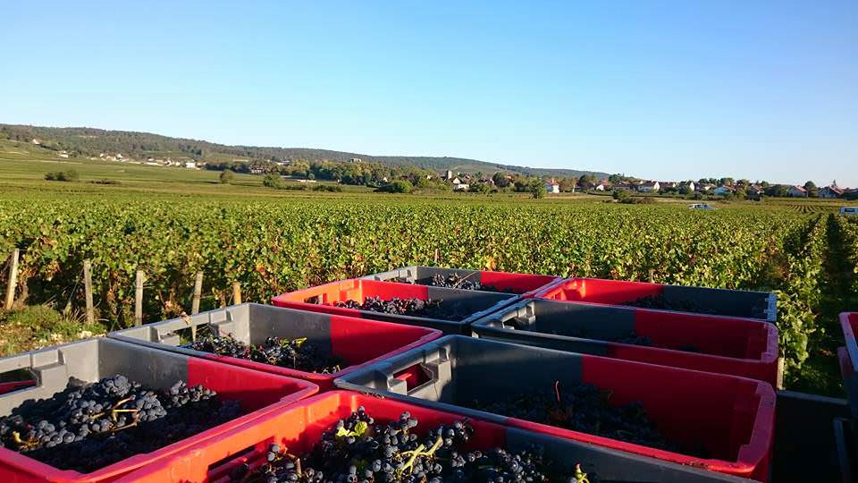 Domaine Jerome Galeyrand
