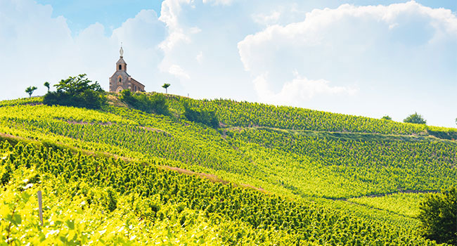 Domaine Jules Desjourneys