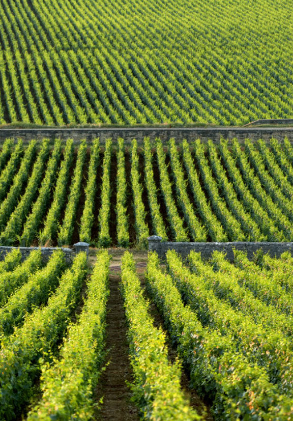 Domaine Leflaive