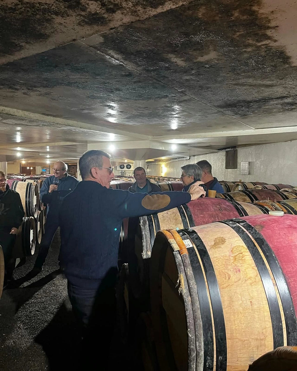 Domaine Les Grandes Vignes