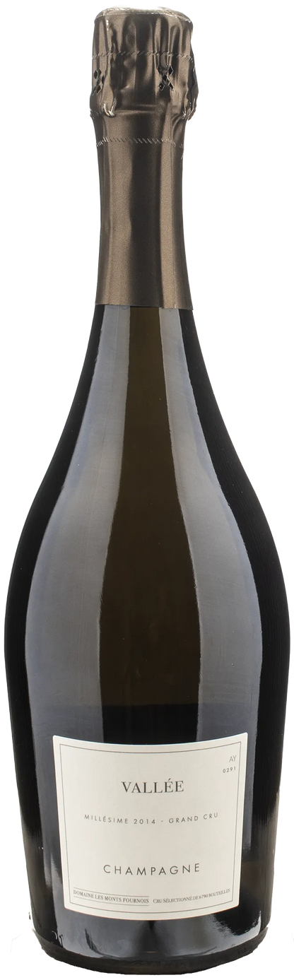 Domaine Les Monts Fournois Champagne Grand Cru Vallee Extra Brut 2014