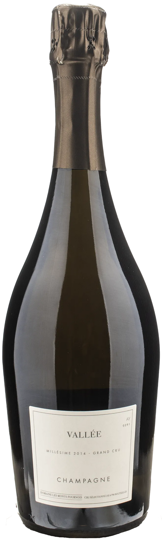 Domaine Les Monts Fournois Champagne Grand Cru Vallee Extra Brut 2014