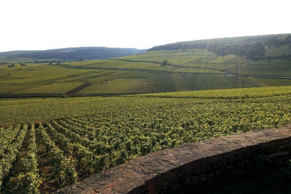 Domaine Mallard et Fils