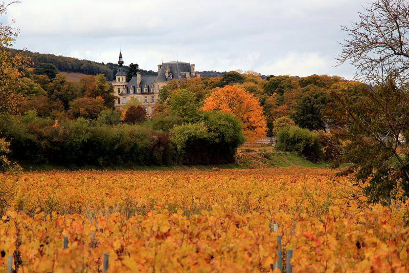 Domaine Marchand-Grillot