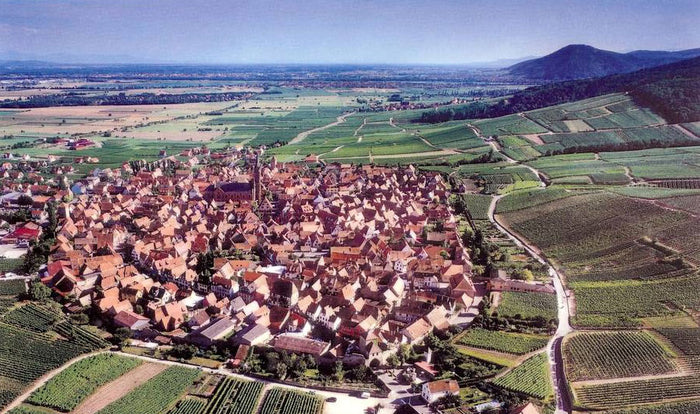 Domaine Mersiol