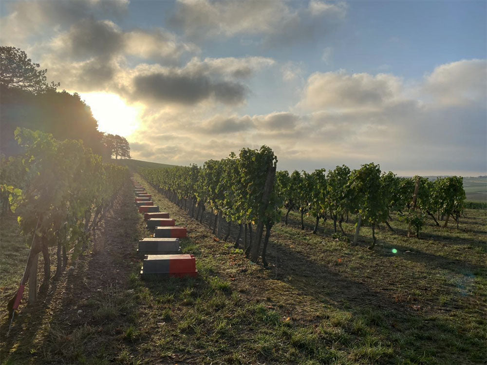 Domaine Michel Gros