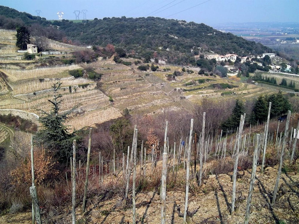 Domaine Mickael Bourg