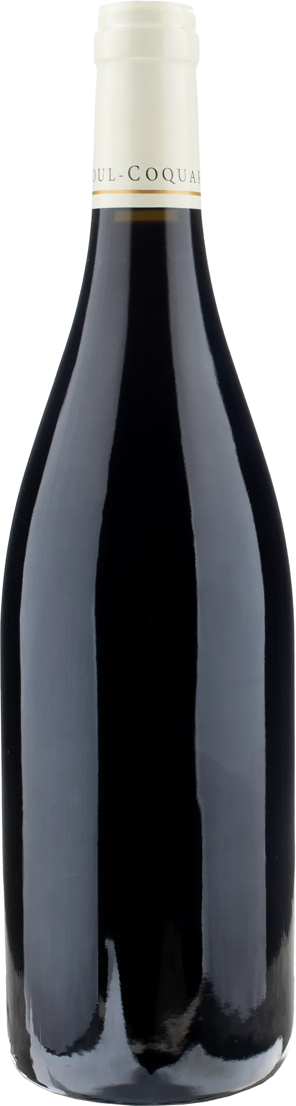 Domaine Odoul Coquard Gevrey Chambertin 2022