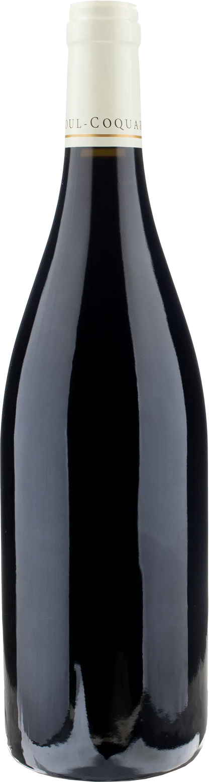 Domaine Odoul Coquard Gevrey Chambertin 2022