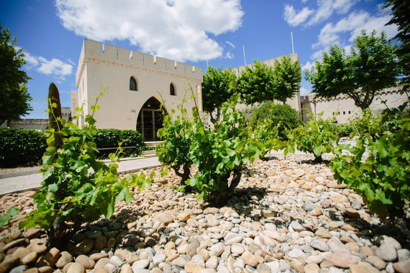 Domaine Ogier
