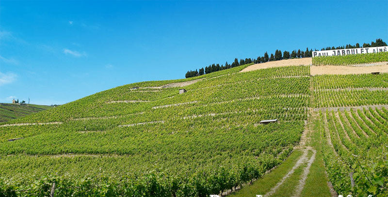 Domaine Paul Jaboulet Aine