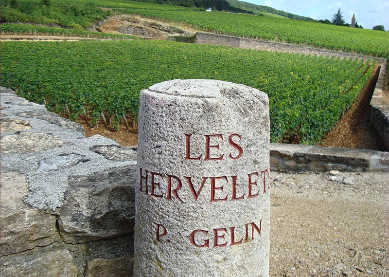 Domaine Pierre Gelin