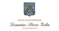 Domaine Pierre Gelin logo