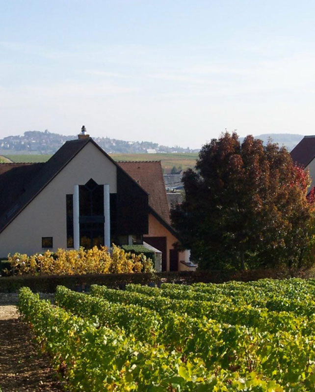 Domaine Reverdy Ducroux