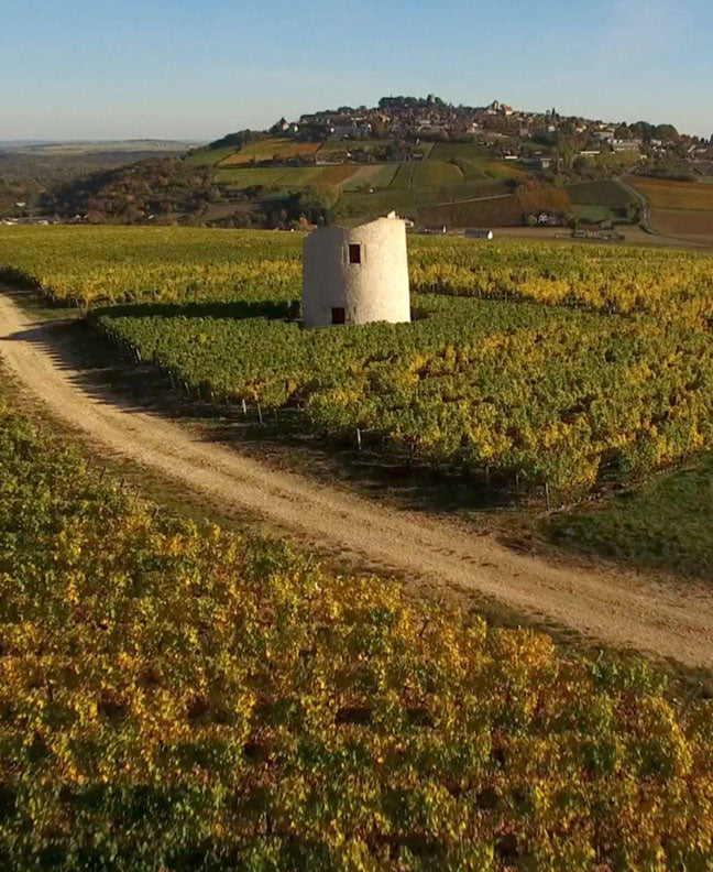 Domaine Reverdy Ducroux
