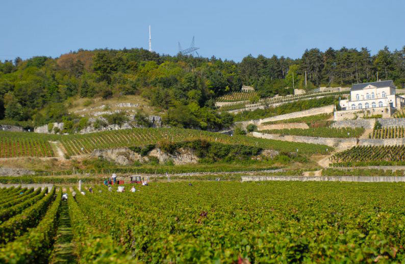 Domaine Robert Armoux