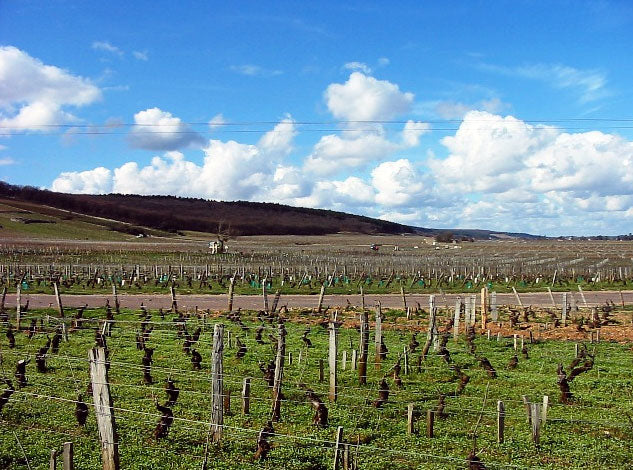 Domaine Stephane Magnien