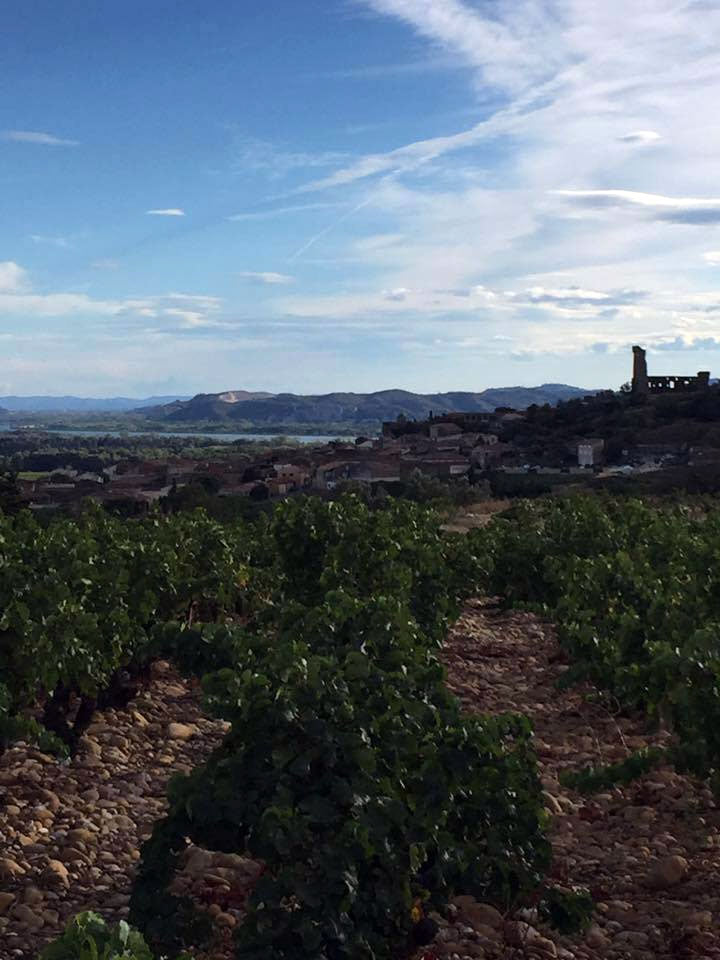 Domaine Usseglio Raymondo & Fils