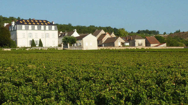 Domaine Vincent et Francois Jouard