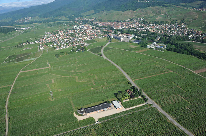 Domaine Zind-Humbrecht