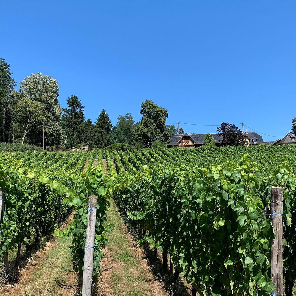 Domaine Zind-Humbrecht