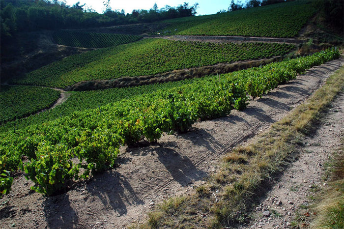 Domaines Chermette