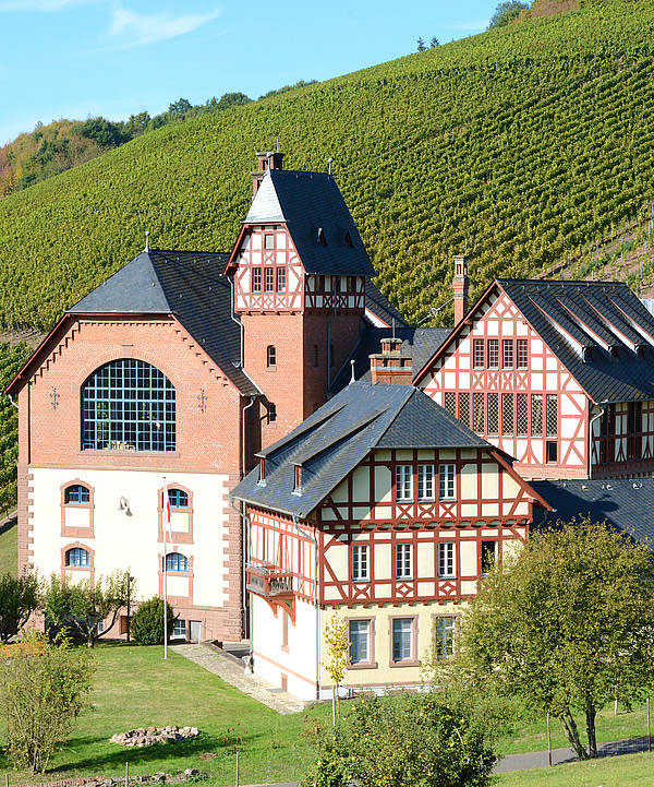 Domäne Avelsbach