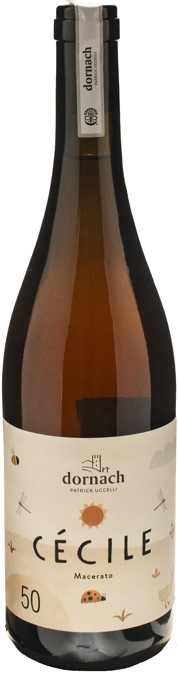 Dornach Patrick Uccelli Cecile Souvignier Gris 2023