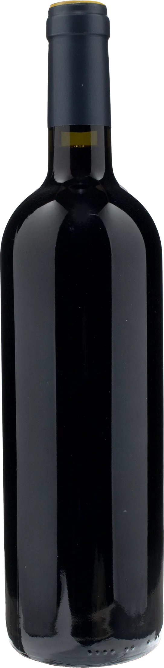 Doro Princic Collio Merlot Etichetta Blu 2021