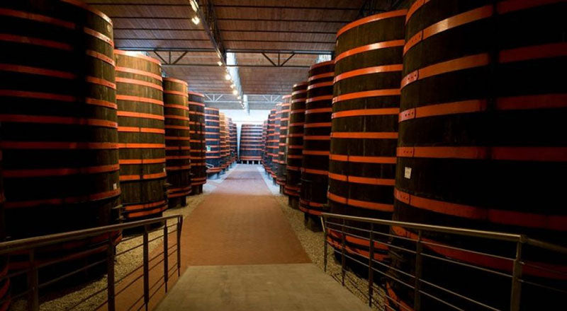 Duca di Castelmonte (Pellegrino)