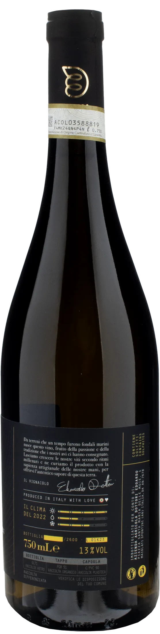 Edoardo Dottori Kochlos Verdicchio dei Castelli di Jesi Classico Riserva 2022