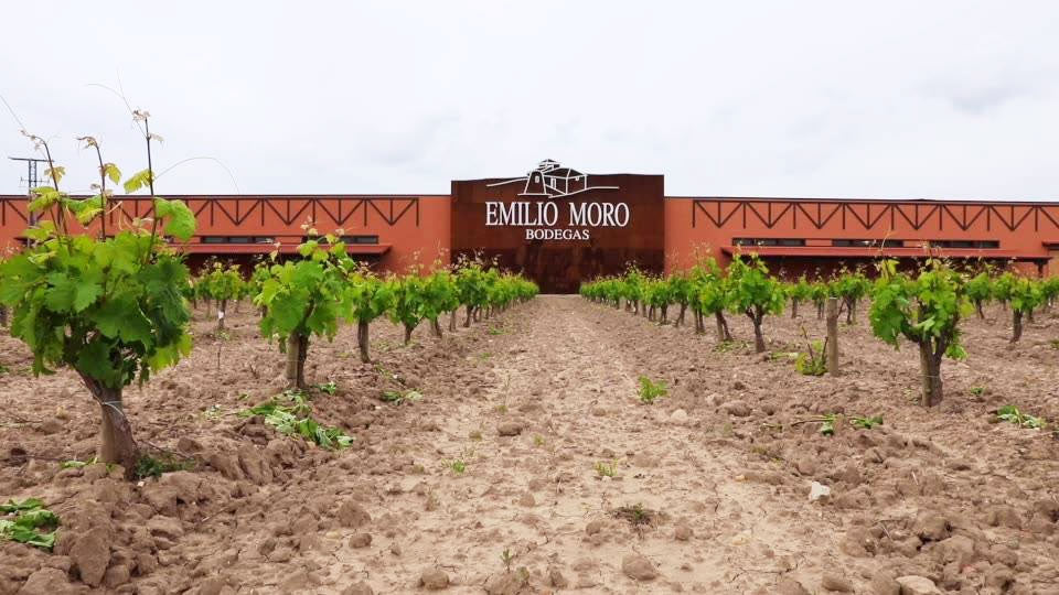 Emilio Moro