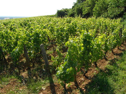 Emmanuel Rouget et Fils