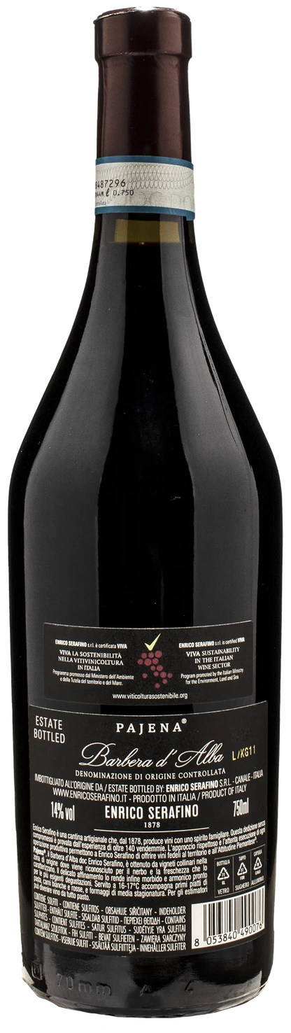 Enrico Serafino Barbera d'Alba Pajena 2021