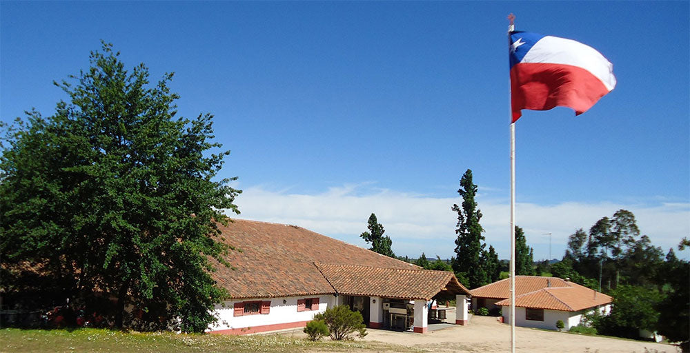 Erasmo