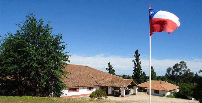 Erasmo