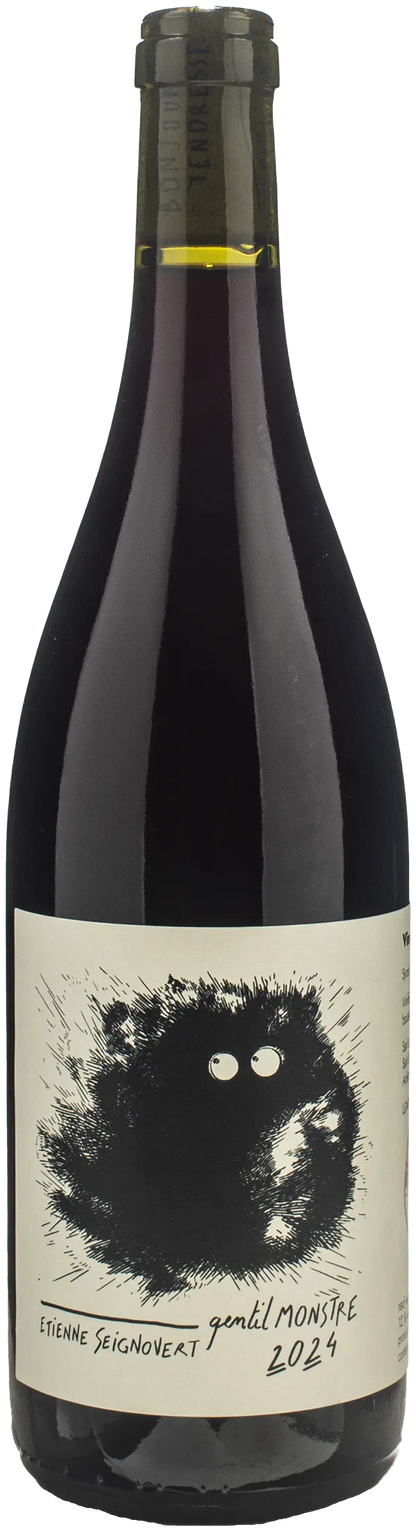 Etienne Seignovert Gentil Monstre 2024