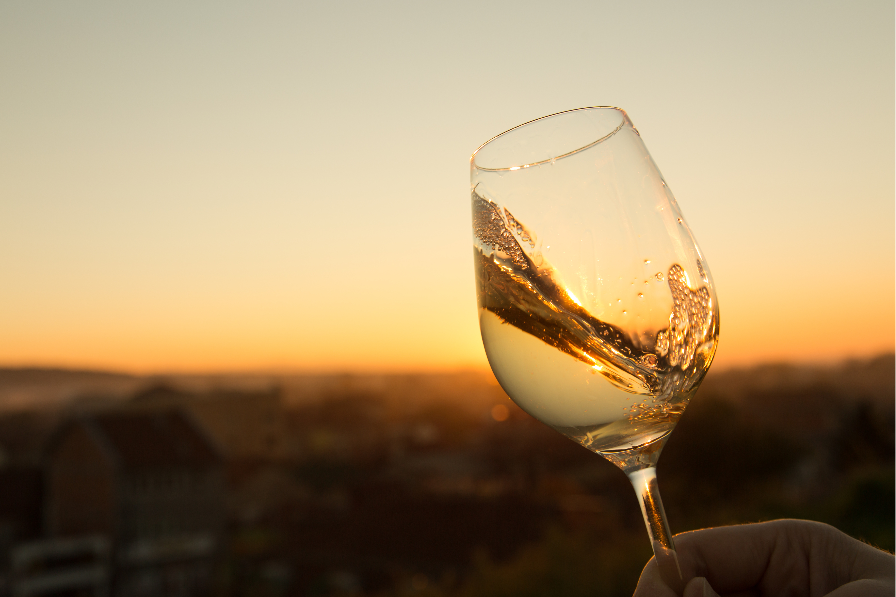 Sip and Explore: Wine Adventures Await