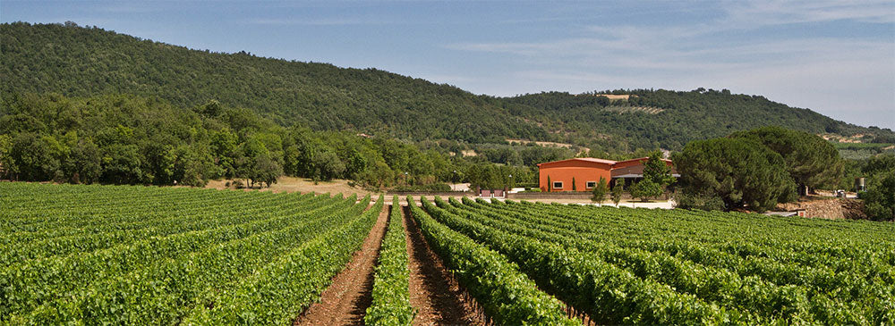 Fattoria Aldobrandesca